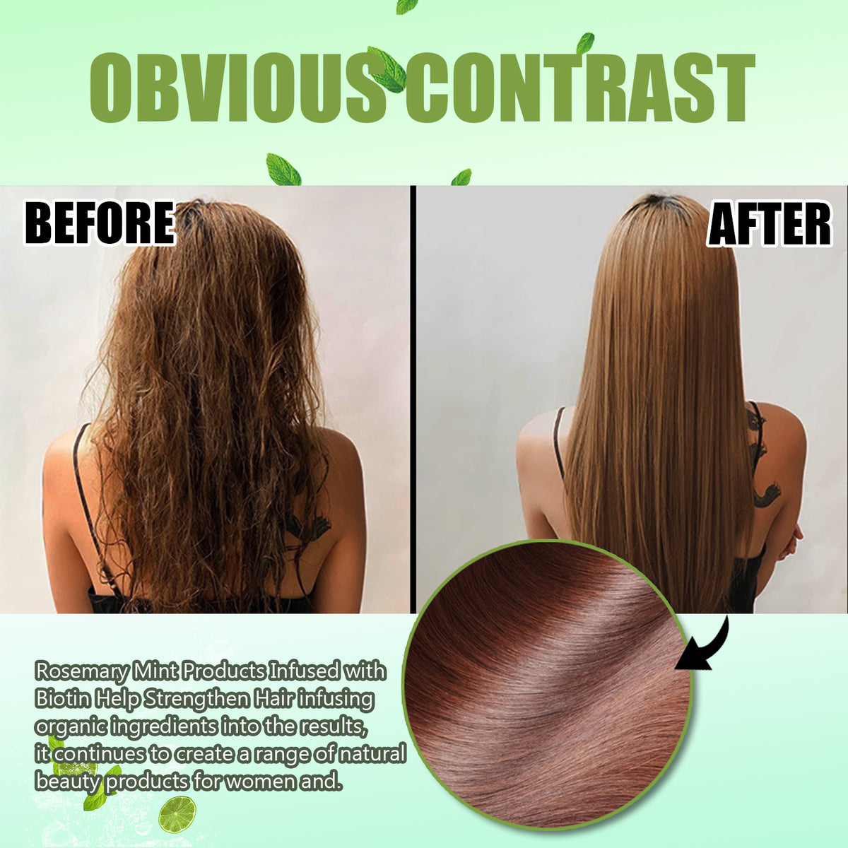 EELHOE Shampooing au romarin et à la menthe pour cheveux secs et frisottants